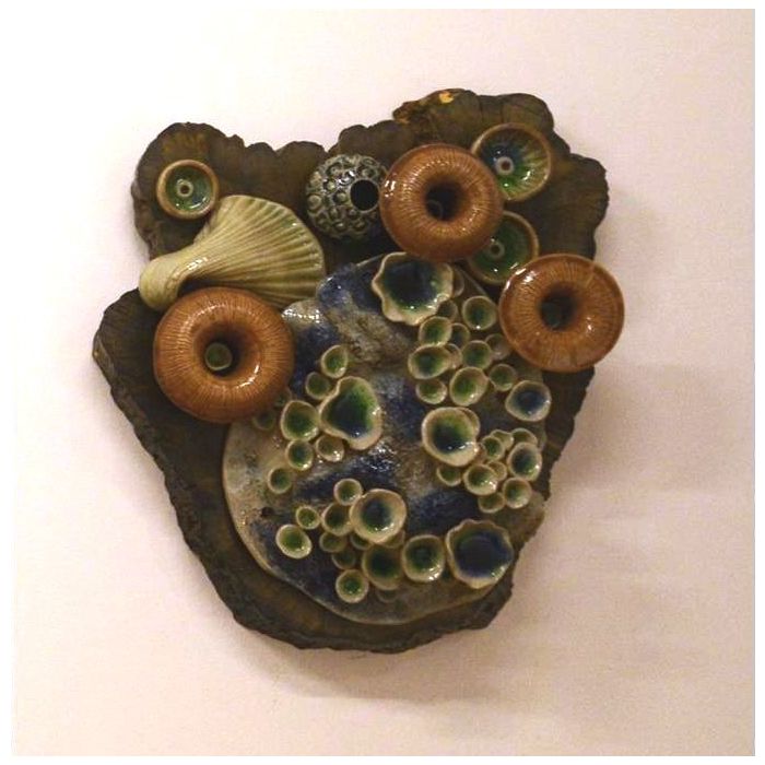 Reef 3