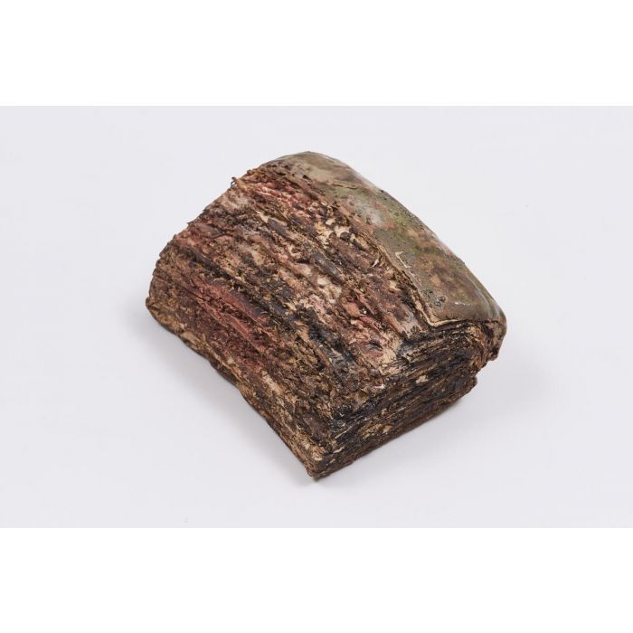 Lithified Lives (Resurgō Series) 10