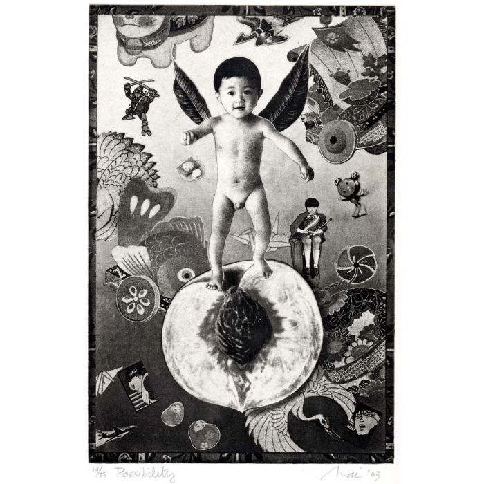 Momotaro Possibility