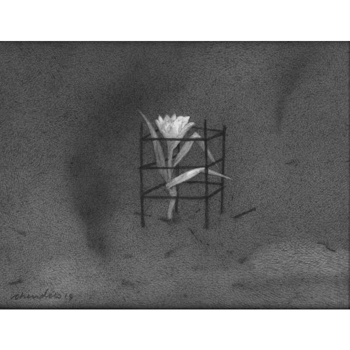 Untitled- 15 Night Forest Series